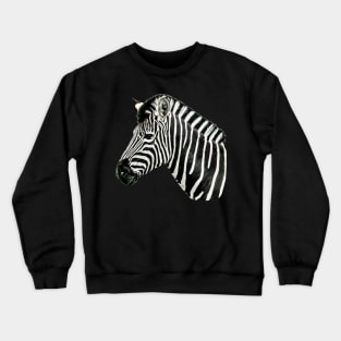 Zebra Crewneck Sweatshirt